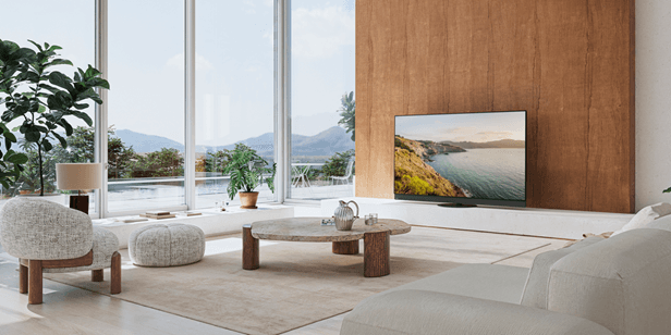 Panasonic Z95B